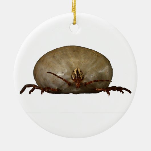 Die Tick Keramik Ornament (Hinten)