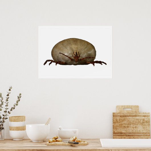 Die Tick Poster (Küche)