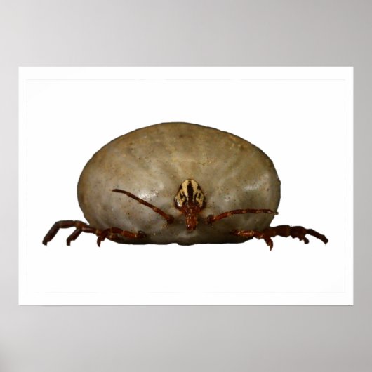 Die Tick Poster (Vorne)