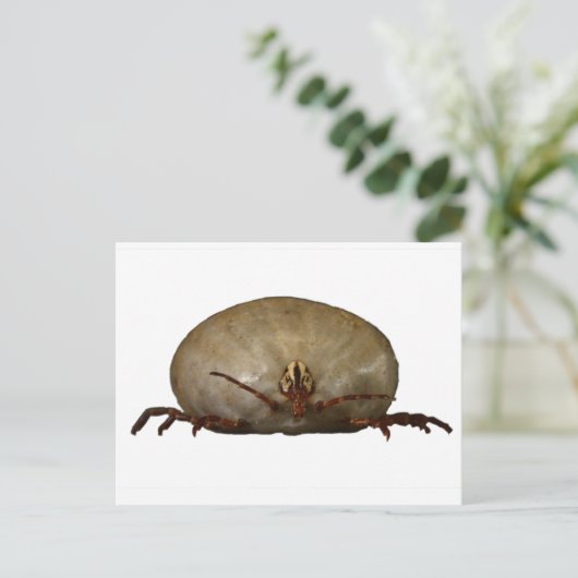 Die Tick Postkarte (Stehend Vorderseite)