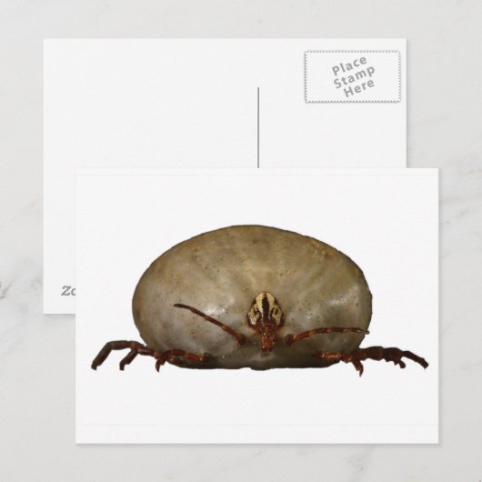 Die Tick Postkarte (Vorne/Hinten)