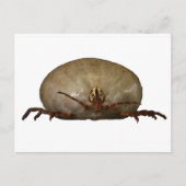 Die Tick Postkarte (Vorderseite)