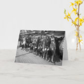 Die Tiller Girls, Anfang des 19. Jahrhunderts Karte (Gelbe Blume)