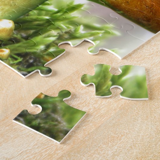 Die Toadstool Fairy Puzzle (Seite)