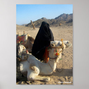 Die Tochter der Wüste Poster