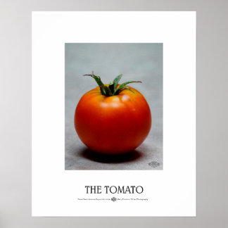 Die Tomate Poster