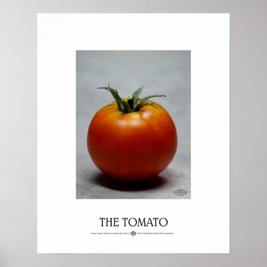 Die Tomate Poster (Vorne)