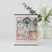 Die Traubenernte aus dem 13. Jahrhundert Postkarte (Stehend Vorderseite)