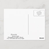 Die Träume von gestern Postkarte (Rückseite)