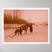 Die Travois Poster (Vorne)