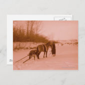 Die Travois Postkarte (Vorne/Hinten)