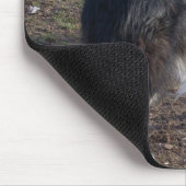Die tri-color Collie Mousepad (Ecke)