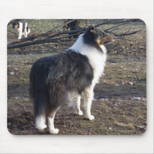 Die tri-color Collie Mousepad