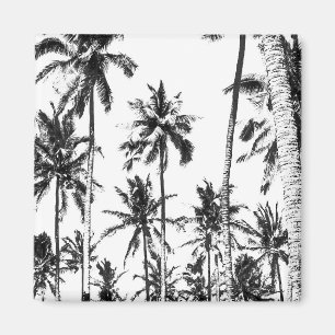 Die tropische Palme Schwarz-Weiß im Sommer Magnet