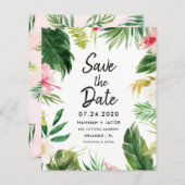 Die tropischen Blätter Luau rettet die Daten (Vorne/Hinten)