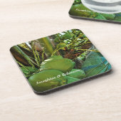 Die tropischen Kokospalmen, Palmen und Bäume Getränkeuntersetzer (Linke Seite)