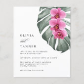 Die tropischen Orchideen von Monstera (Vorderseite)