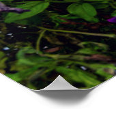 Die Tuchhalle am Hauptplatz von Krakau, Polen Poster (Ecke)