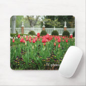 Die Tulpen WM des Gouverneurs Mousepad (Mit Mouse)