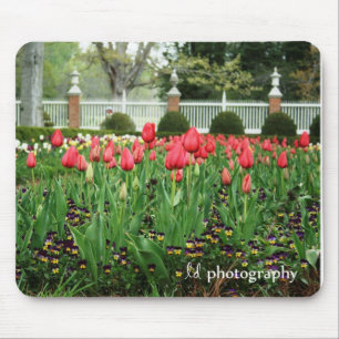 Die Tulpen WM des Gouverneurs Mousepad