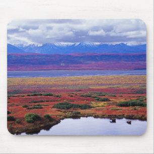 Die Tundra des Denali-Nationalparks im späten Mousepad