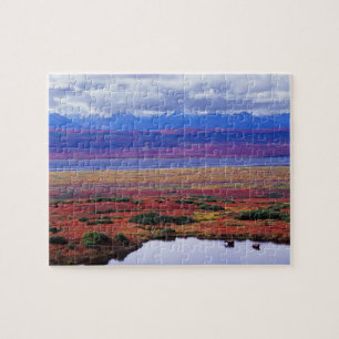 Die Tundra des Denali-Nationalparks im späten Puzzle