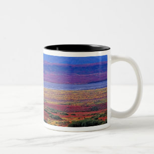 Die Tundra des Nationalparks von Denali in der sp Zweifarbige Tasse