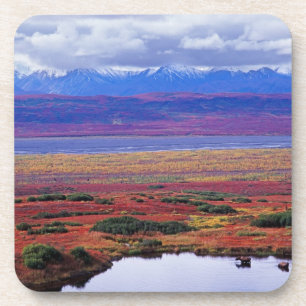 Die Tundra des Nationalparks von Denali in der spä Getränkeuntersetzer
