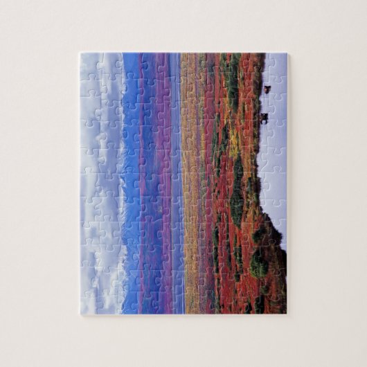 Die Tundra des Nationalparks von Denali in der spä Puzzle (Vertikal)