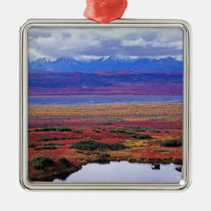 Die Tundra des Nationalparks von Denali in der spä Silbernes Ornament