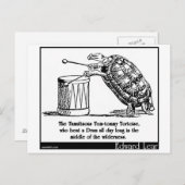 Die turbulente Tom-Tommy-Tortoise Postkarte (Vorne/Hinten)