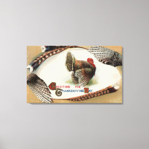 Die Türkei-Federn Leinwanddruck