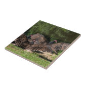 Die Türkei-Geier mit verbreiteten Flügeln Fliese (Seite)