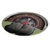 Die Türkei-Glasschneiden-Brett Schneidebrett (Ecke)