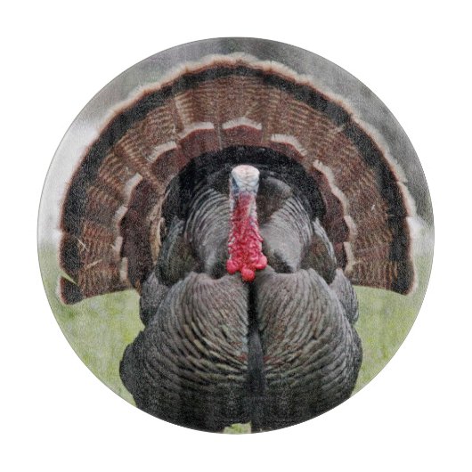 Die Türkei-Glasschneiden-Brett Schneidebrett (Vorderseite)