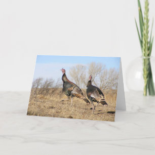 Die Türkei-Horizont Karte