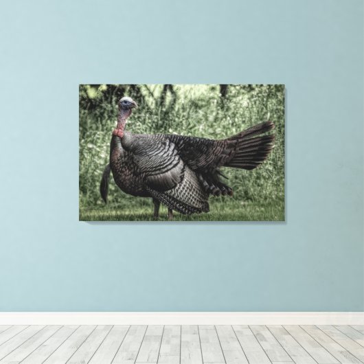 Die Türkei im Wald - Grünes B&W-Poster Leinwanddruck (Insitu (Holzboden))