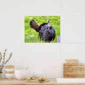 Die Türkei ist Nah Poster (Küche)