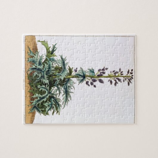 Die Türkei-Rhabarber-Pflanze Puzzle (Horizontal)