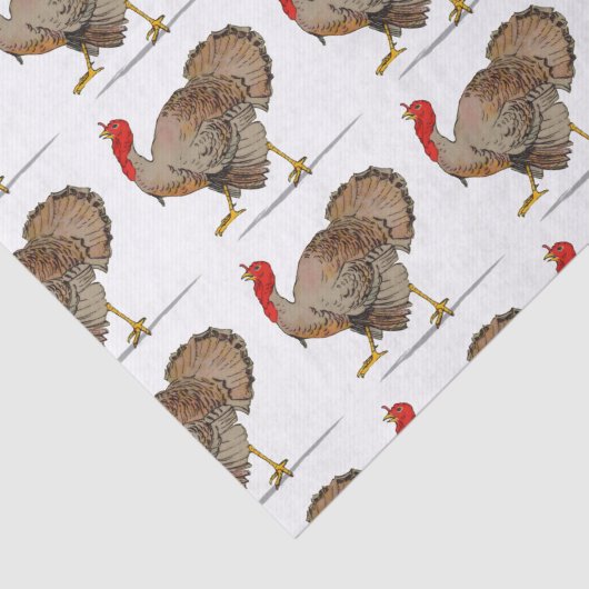 Die Türkei Seidenpapier (Ausschnitt)