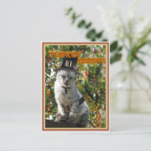 DIE TÜRKEI WIEDER? Pilgrim Cat Postkarte (Stehend Vorderseite)