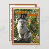 DIE TÜRKEI WIEDER? Pilgrim Cat Postkarte (Vorne/Hinten)