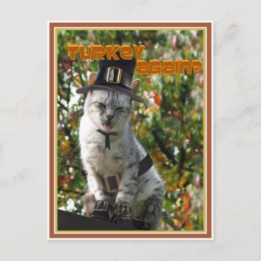 DIE TÜRKEI WIEDER? Pilgrim Cat Postkarte (Vorderseite)