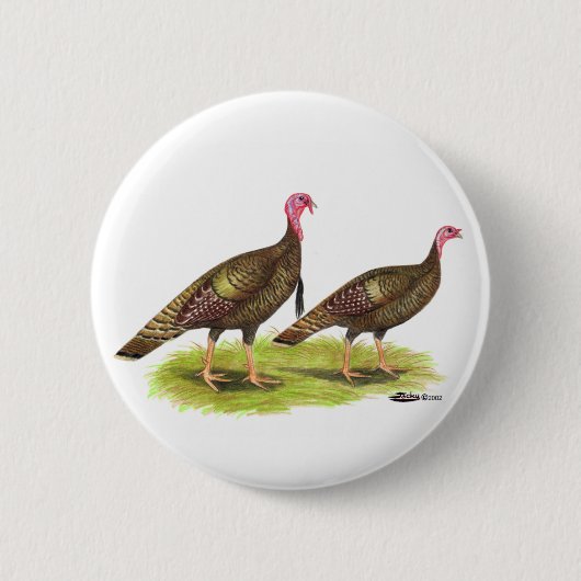 Die Türkei:  Wilde Bronze Button (Vorderseite)