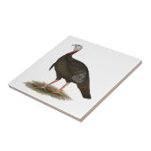 Die Türkei:  Wilder Osttom Fliese (Seite)