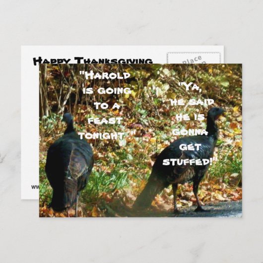 DIE TÜRKEI WIRD AUF DER Postkarte STUDIERT (Vorne/Hinten)