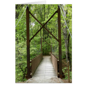 Die Übergänge des Lebens