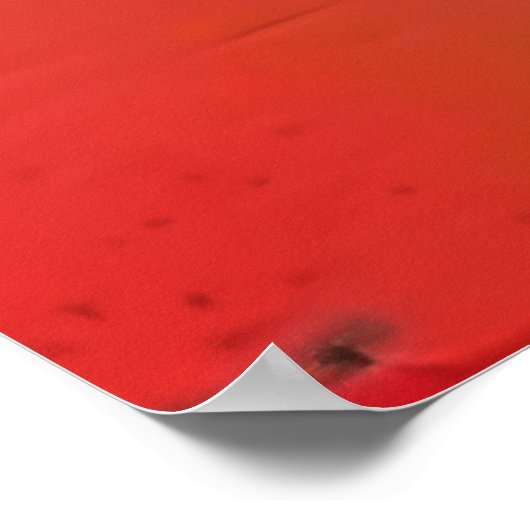 Die Überraschung Poster (Ecke)