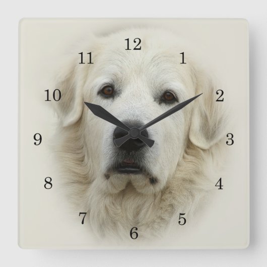 Die Uhr der großen Pyrenäen (Vorderseite)