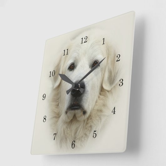 Die Uhr der großen Pyrenäen (Winkel)